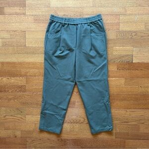 Brunello Cucinelli Pull On Elastic Waist Brown Pants